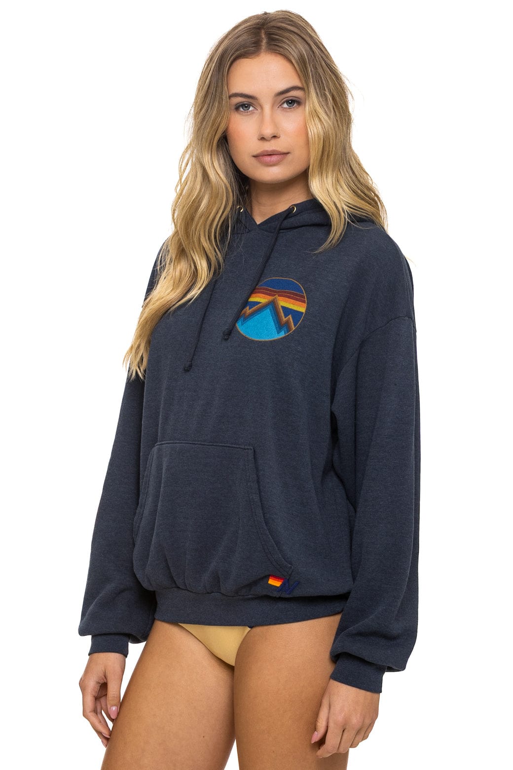 ALL SEASONS RELAXED PULLOVER HOODIE - CHARCOAL - Image 3
