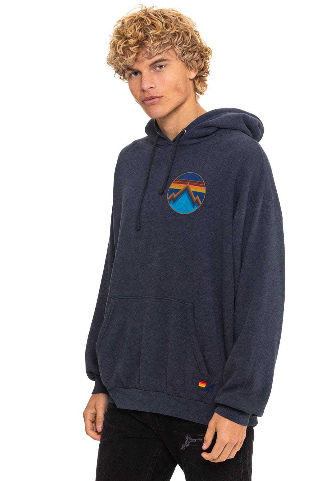 ALL SEASONS RELAXED PULLOVER HOODIE - CHARCOAL - Image 4