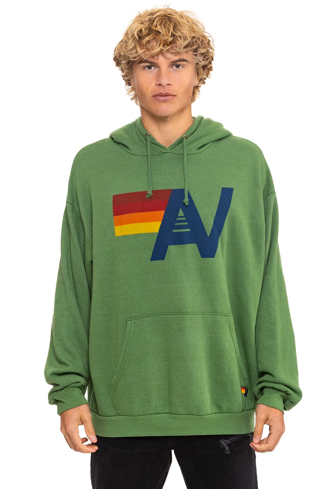 LOGO PULLOVER RELAXED HOODIE - PALM - Image 6